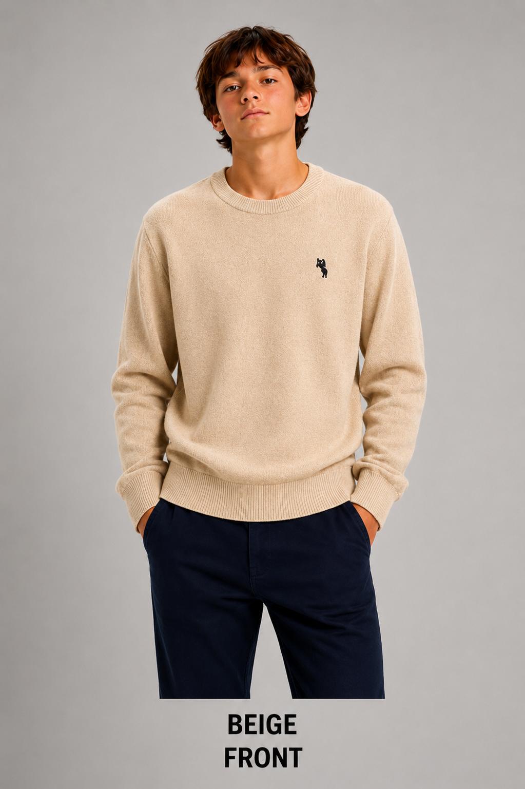 Pull garçon enfant – Réf. 11109M – tailles 4 ans à 14 ans