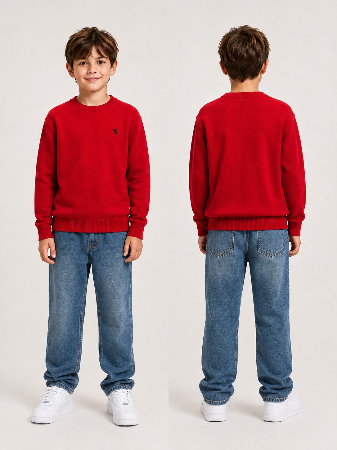 Pull garçon enfant – Réf. 11102M – tailles 4 ans à 14 ans