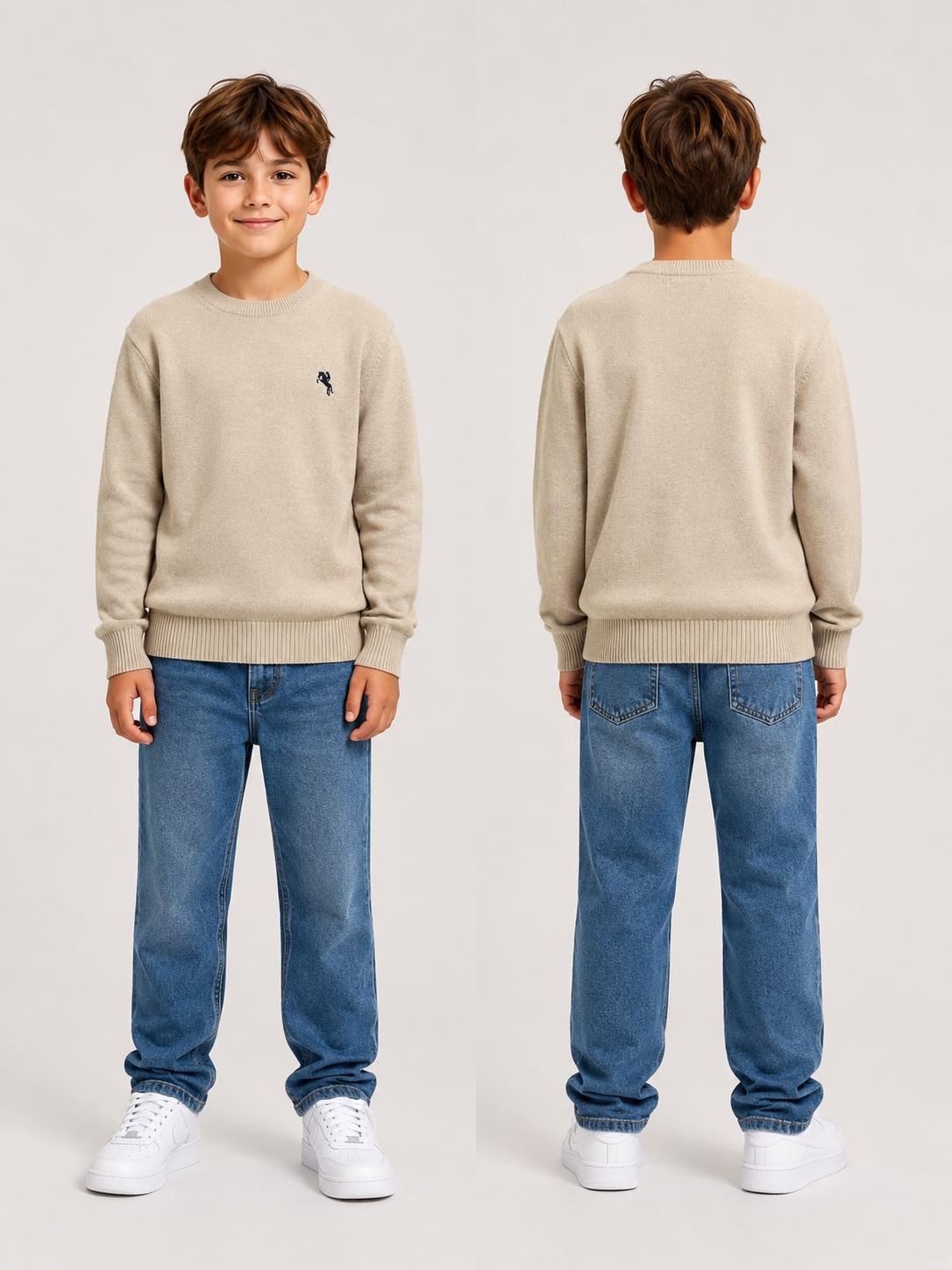 Pull garçon enfant – Réf. 11102M – tailles 4 ans à 14 ans