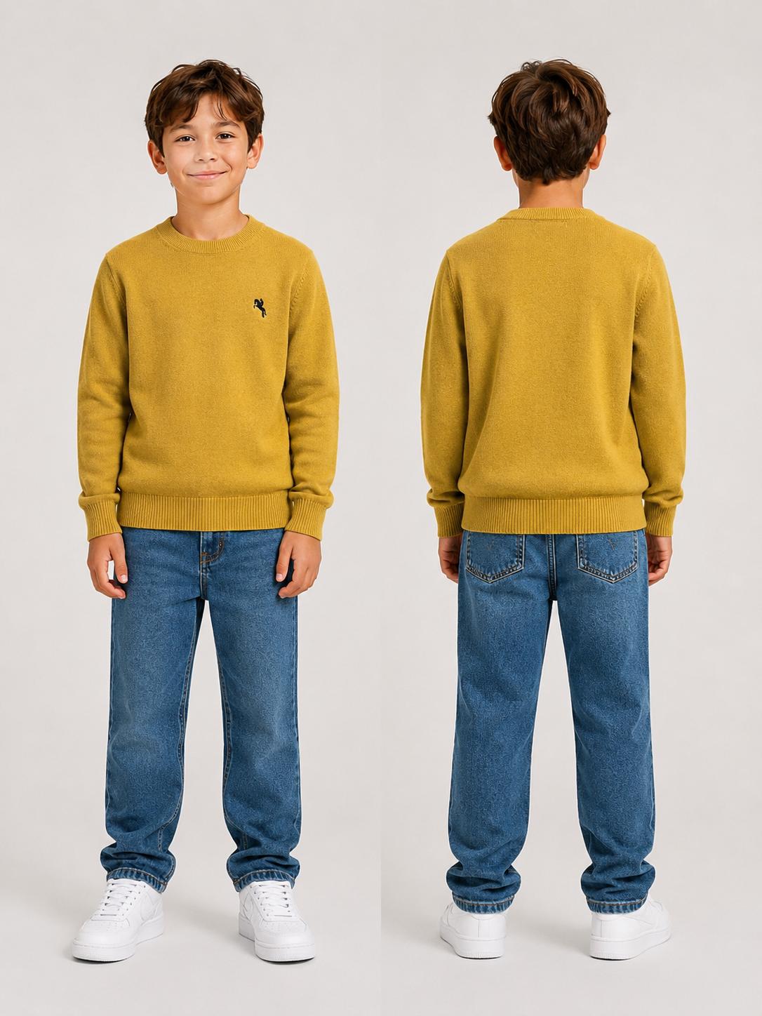 Pull garçon enfant – Réf. 11102M – tailles 4 ans à 14 ans